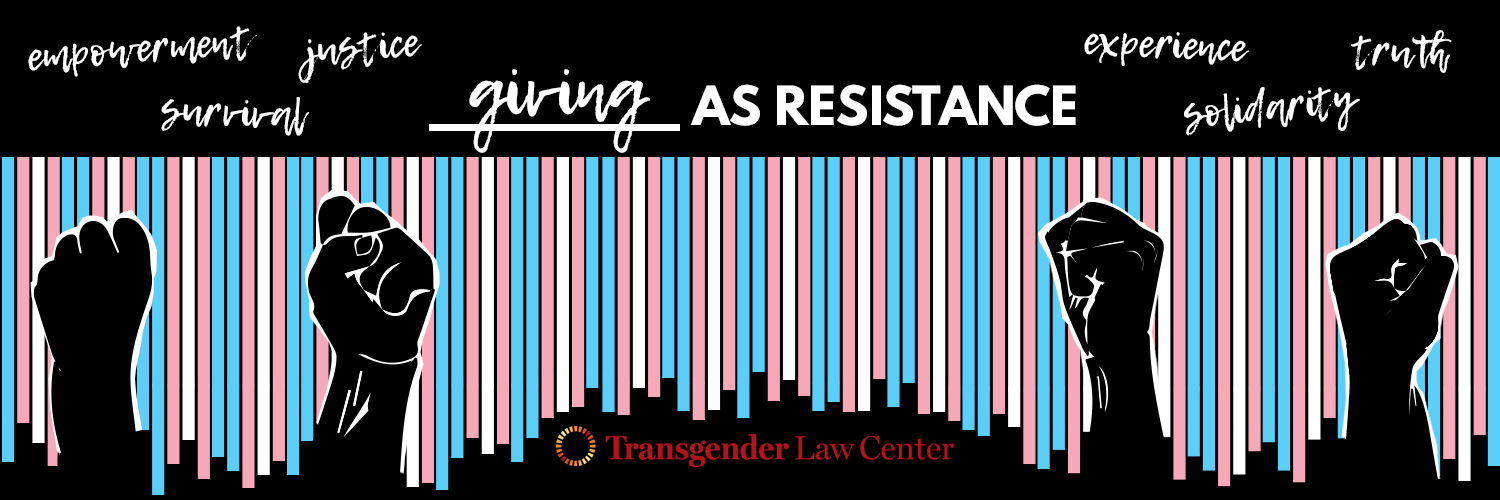 Transgender Law Center- Giving as Resistance. Baby blue, baby pink and white bars in the background with fists "in the air" 