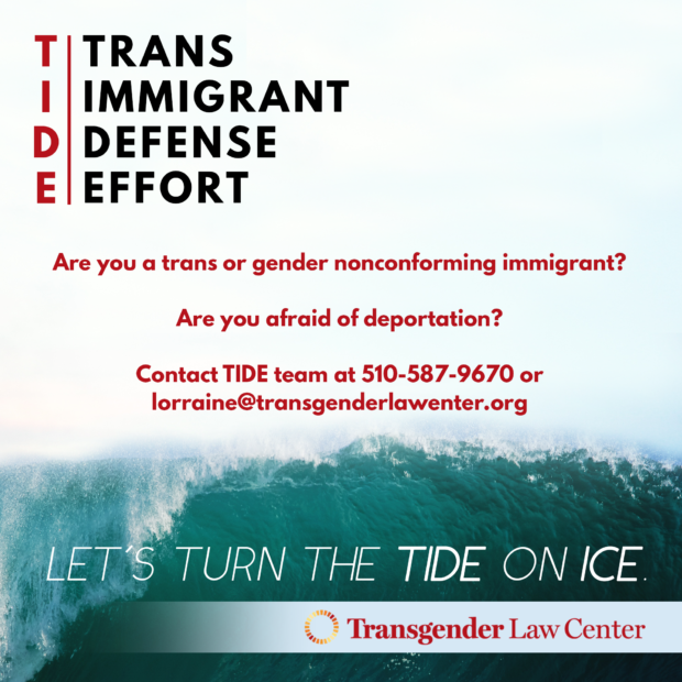 Trans Immigrant Defense Effort - are you a trans or gender non conforming immigrant? Are you afraid of deportation? Let's turn the tide on ICE