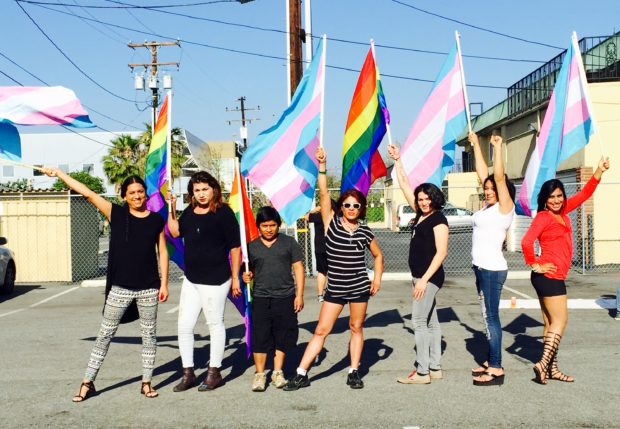 Seven Translatinx advocates pose holding trans and rainbow flags