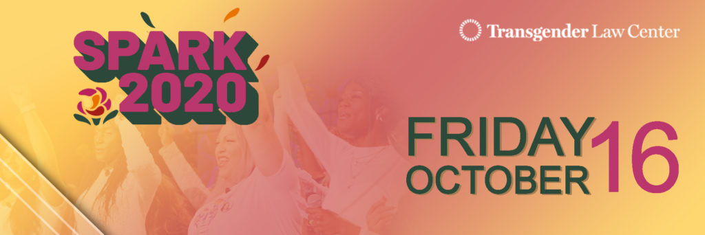 [id: a banner showing the same info written below. The backdrop is a line of people holding hands, arms raised, laughing. It's color-washed with pink / orange / purple gradient. The top left says SPARK 2020 in pink letters with a dark green shadow, the bottom right says Friday October 16 in green and pink letters, and the top right says Transgender Law Center in white.]]