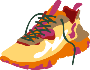 Illustrated image of an athletic sneaker