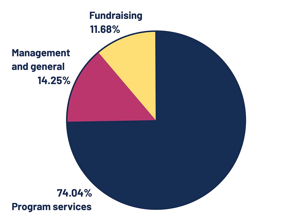 Pie chart illustrating TLC Expenses in 2021 - data table adjacent.