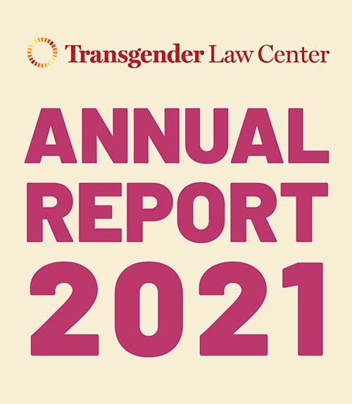 Header for the report reading Annual Report 2021