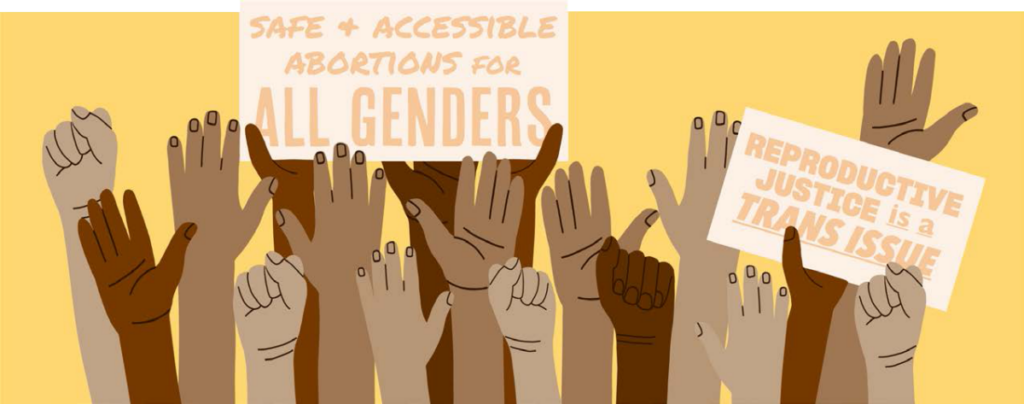 (vector art) A diverse array of raised hands and holding signs that say "Safe and accessible abortions for all genders" and "reproductive justice is a trans issue"
