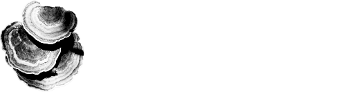 Action for Transformation Fund Announcement