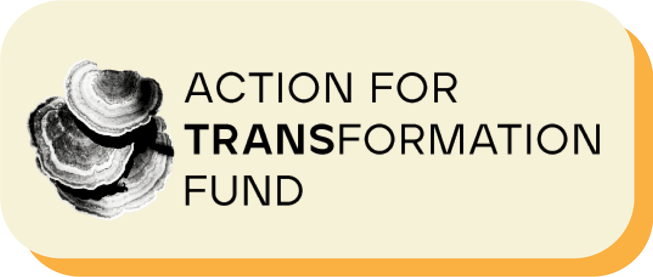 Action for Transformation Fund logo