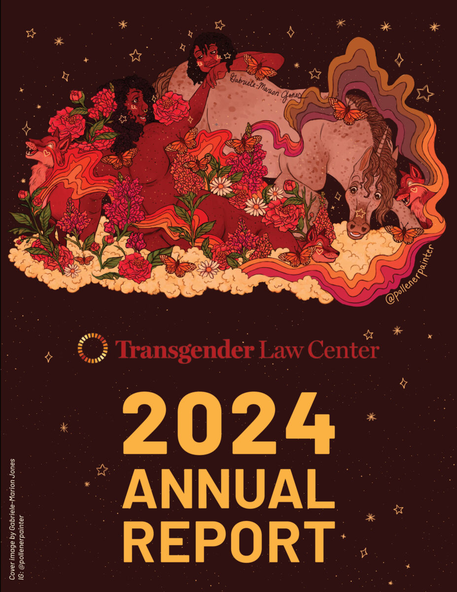 A collage of imagery in red, brown, and orange tones, featuring two humans and a unicorn lounging together on a cloud in a bed of red roses. A rainbow ribbon wraps around them and stars rain gently from above. Text under the image reads “Transgender Law Center 2024 Annual Report.